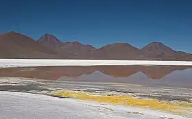 Vue du Acamarachi et Colachi dominant le salar de Pujsa.