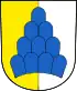 Blason de Salenstein