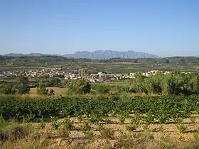 Sant Pere de Riudebitlles