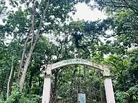 Satchari national park, Bangladesh