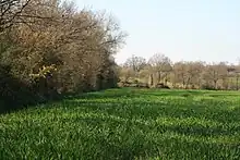 Bocage du Nord de Savenay