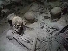 Crânes et troncs humains grisâtres