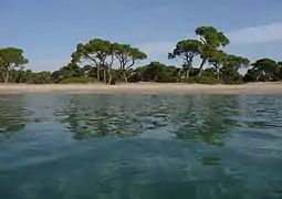 Vue de la plage depuis la zone maritime protégée.