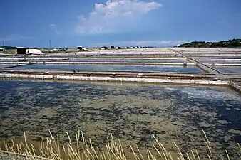 salins de Sečovlje&nbsp;(en)