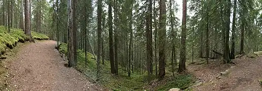 Parc national de Seitseminen