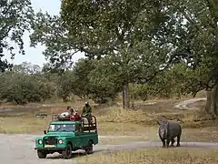Observation des animaux