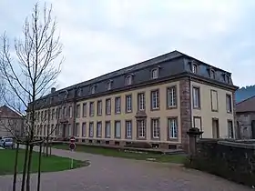 Image illustrative de l’article Châteaux des princes de Salm-Salm