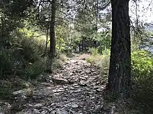 Sentiers des Lauzes à Saint-Melany.