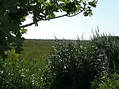 Réserve naturelle régionale de la Sentina&nbsp;(it)