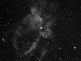 Image illustrative de l’article Pince de Homard