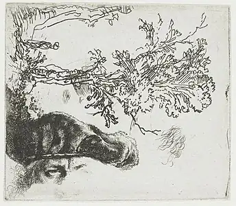 Feuille avec deux études, un arbre et la partie supérieure de la tête de Rembrandt avec un béret de velours, 1640 à 1644, eau-forte.
