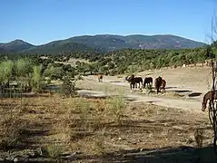 Paysage de la Sierra de San Vicente.