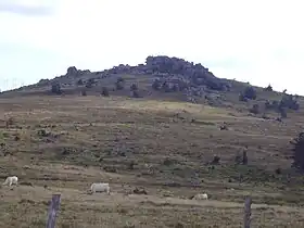 Le signal de Randon vu du col du Cheval Mort (1 454 m).