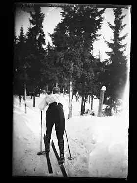 Image illustrative de l’article Georg Østerholt