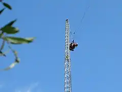 Skycoaster à Kennywood