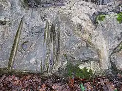 Polissoir de Souppes-sur-Loing