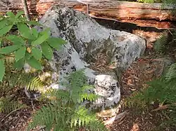 Image illustrative de l’article Polissoirs de la Croix Boissée