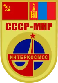 Insigne de la mission