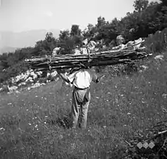 Robidišče (en), juin 1951