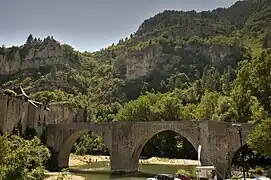 Le pont sur le Tarn.