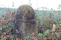 Image illustrative de l’article Statue-menhir de Monteils