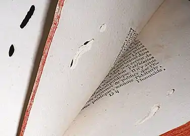 Photographie d'un livre du XVIIIe&nbsp;siècle montrant des galeries creusées par une larve de Stegobium paniceum