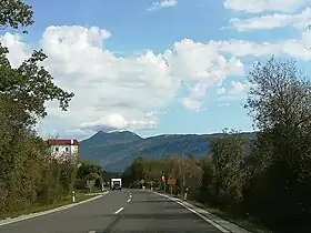 Stepčići