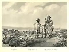 Csordás (« bouviers ») en Hongrie au XIXe siècle.