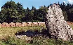 Image illustrative de l’article Menhir de Roquinarc'h