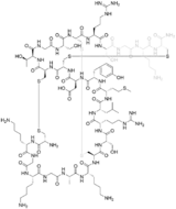 Image illustrative de l’article Ziconotide