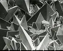 Cristaux de weddellite (oxalate de calcium dihydraté) sur la surface d'un calcul rénal. Image de microscopie électronique à balayage (MEB), surface dans la réalité = 0,35&nbsp;×&nbsp;0,45&nbsp;mm.