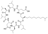 Image illustrative de l’article Surfactine
