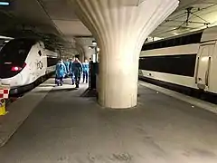 Rames TGV « Chardon 5 » (à gauche) et « Chardon 4 » (à droite), en gare de Paris-Austerlitz.
