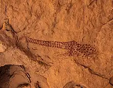 Girafe accroupie au contour et ocelles rouges