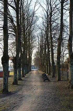 Image illustrative de l’article Tamme puiestee