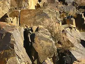 Image illustrative de l’article Tamgaly