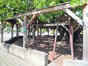 Le tilleul de danse d'Effeltrich de nos jours.