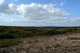 L'arrière-pays nîmois.