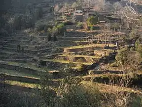 Saint-Martin-de-Boubaux