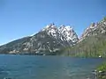 La chaîne Teton sur les rives du lac Jenny.