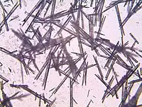 Image illustrative de l’article Fulminate d'argent