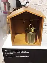 Automate avec oiseau mobile chanteur.