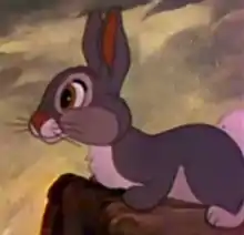 Image illustrative de l’article Panpan