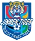 Depuis 2020 Tianjin Tigers  (天津泰达)