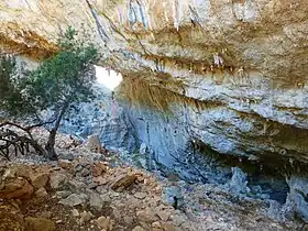 Image illustrative de l’article Tiscali (site)