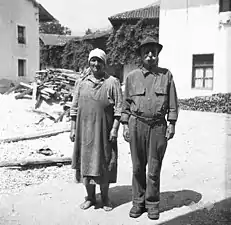 Svino&nbsp;(en), juin 1951