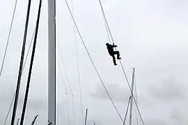 Gabier sur un filin d'un gréement moderne (Brest 2012).