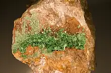 Torbernite - Loire, France (10,5&nbsp;×&nbsp;8,5&nbsp;cm)