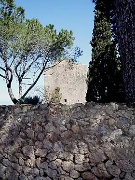 Image illustrative de l’article Tour de Lividonia