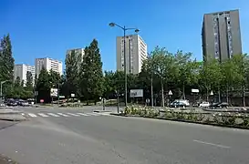 Les tours du Gros-Chêne